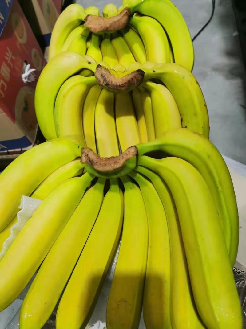 特价香蕉🍌金黄蕉全国可以发货