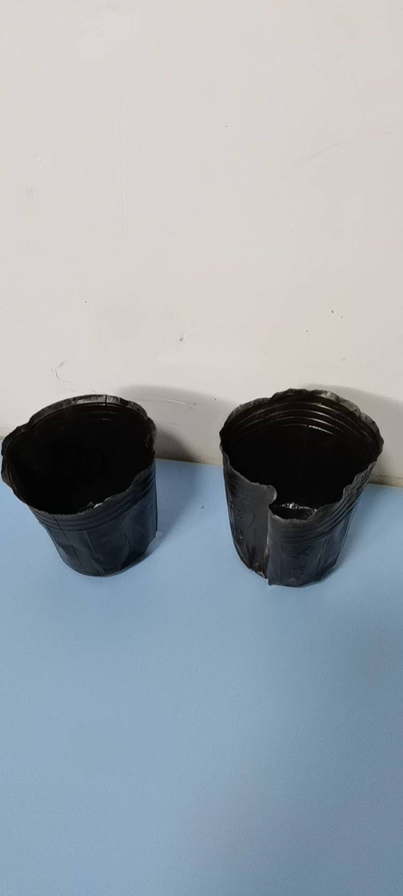 育苗营养钵，厂家直销量大从优，郑州发货，规格齐全