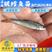 【新品大促】淡水银鳕鱼苗大鳞鲃鱼苗乌兹别克斯坦银鳕鱼