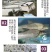 【新品大促】淡水银鳕鱼苗大鳞鲃鱼苗乌兹别克斯坦银鳕鱼