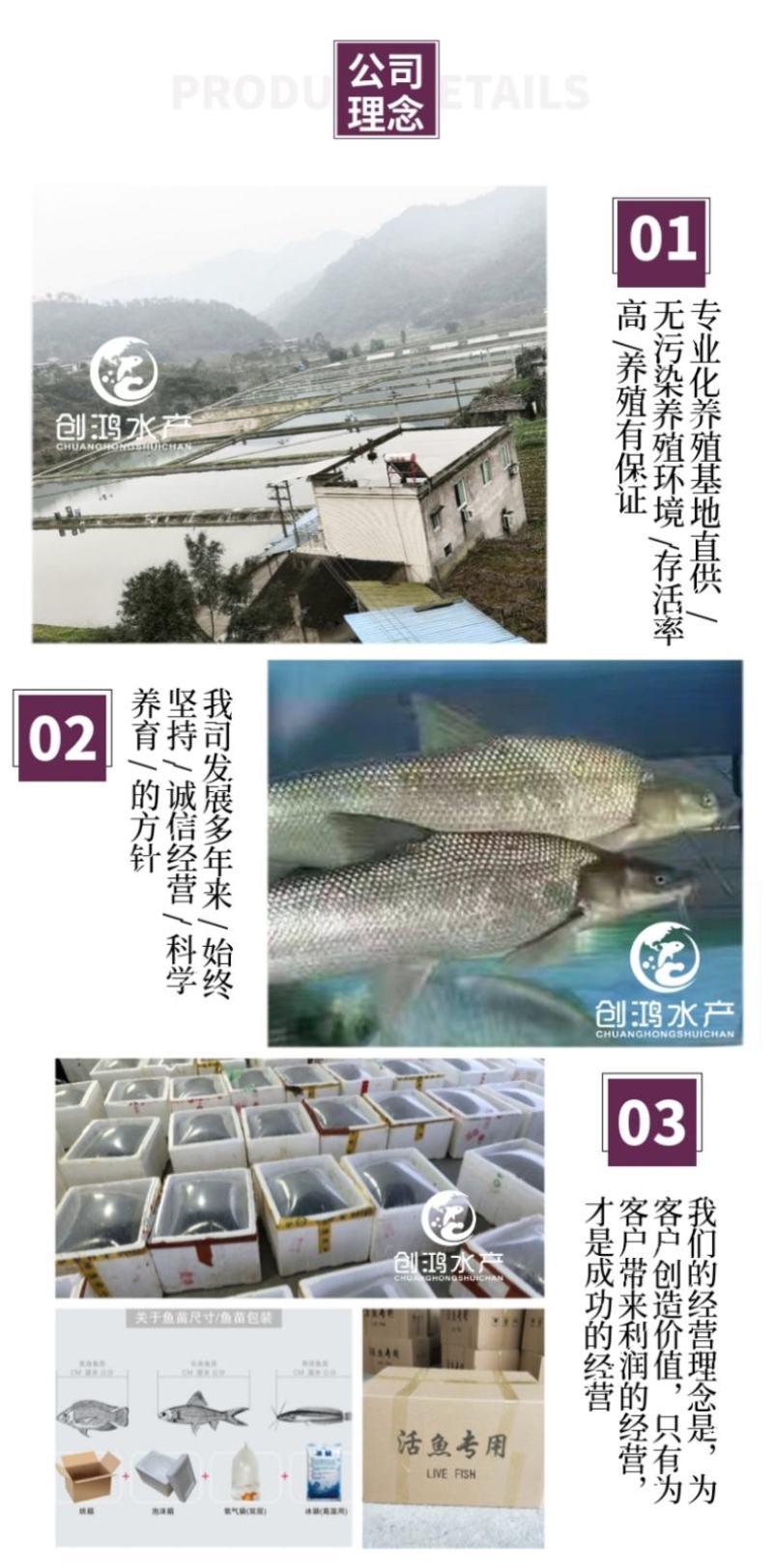 【基地直供技术支持】淡水银鳕鱼苗大鳞鲃鱼苗高产快大