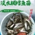 【淡水养殖】银鳕鱼苗大鳞鲃优质高产杂食性鱼苗
