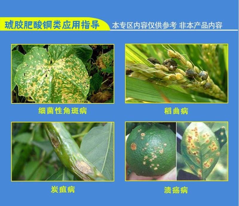 华丰30%琥胶肥酸铜防治黄瓜细菌性角斑病DT