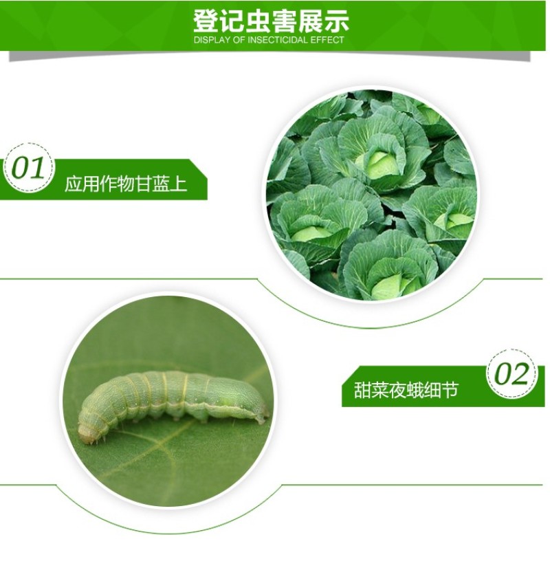 中保快捕令12%甲维茚虫威菜青虫小菜蛾甜菜夜蛾杀虫剂