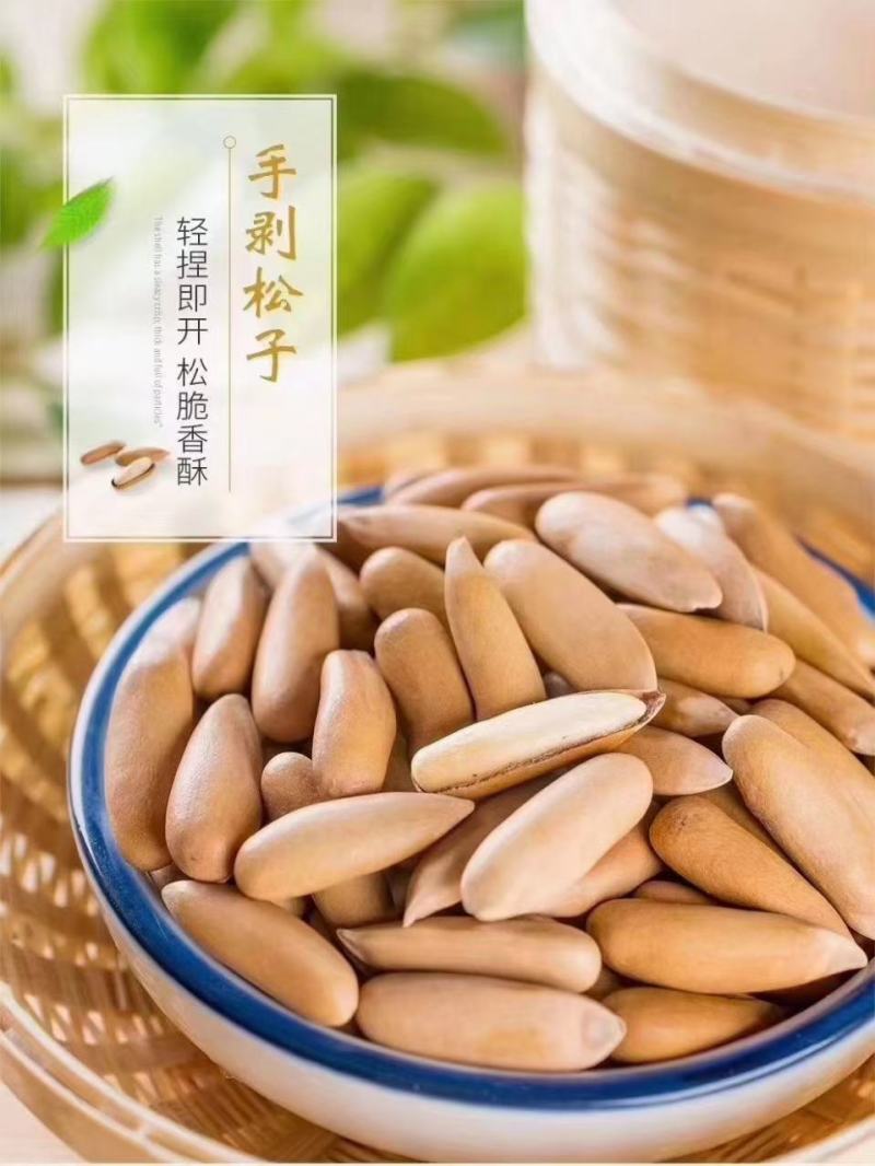 2023年新货巴西松子大颗粒土豪坚果厂家直销一件无痕代发