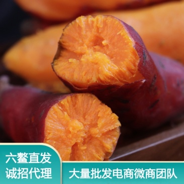 福建六鳌蜜薯新鲜现挖漳州红心沙地地瓜六鳌红薯