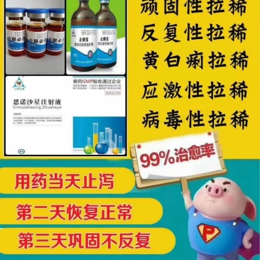 紧急预防猪腹泻，就灌止痢宝，安全无毒，快速修复肠道。