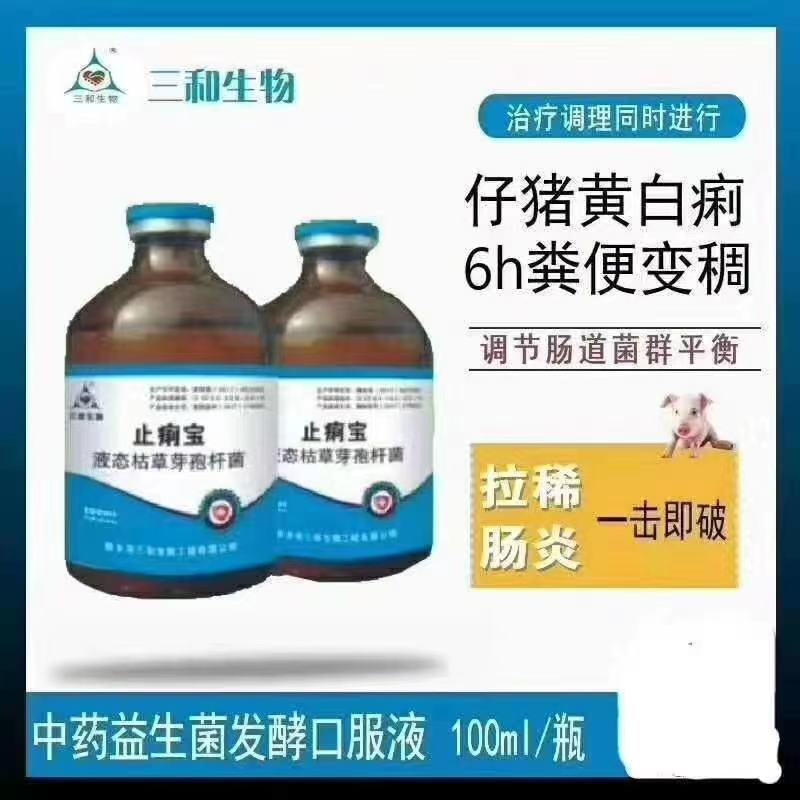 紧急预防猪腹泻，就灌止痢宝，安全无毒，快速修复肠道。
