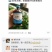 紧急预防猪腹泻，就灌止痢宝，安全无毒，快速修复肠道。