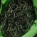 化石草大叶化石草野生肾精结石草包干货邮