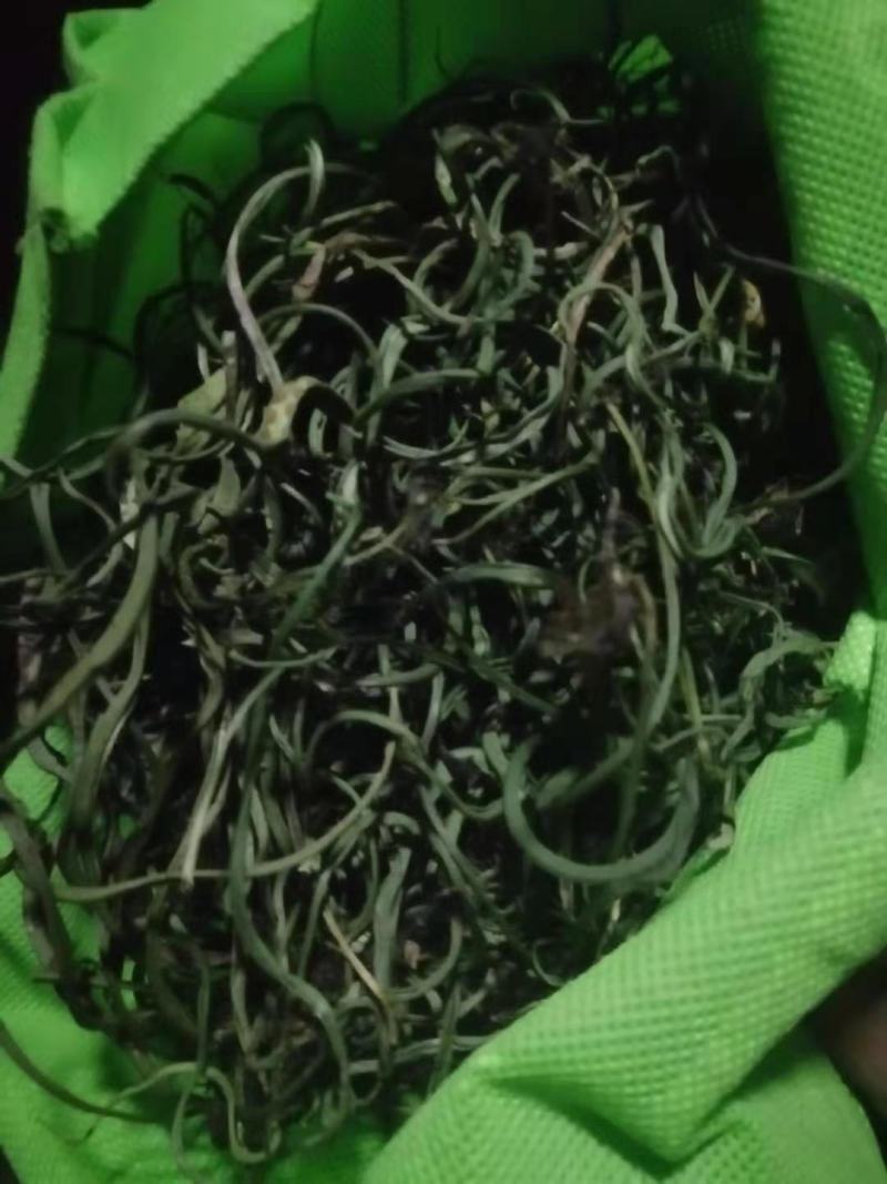 化石草大叶化石草野生肾精结石草包干货邮