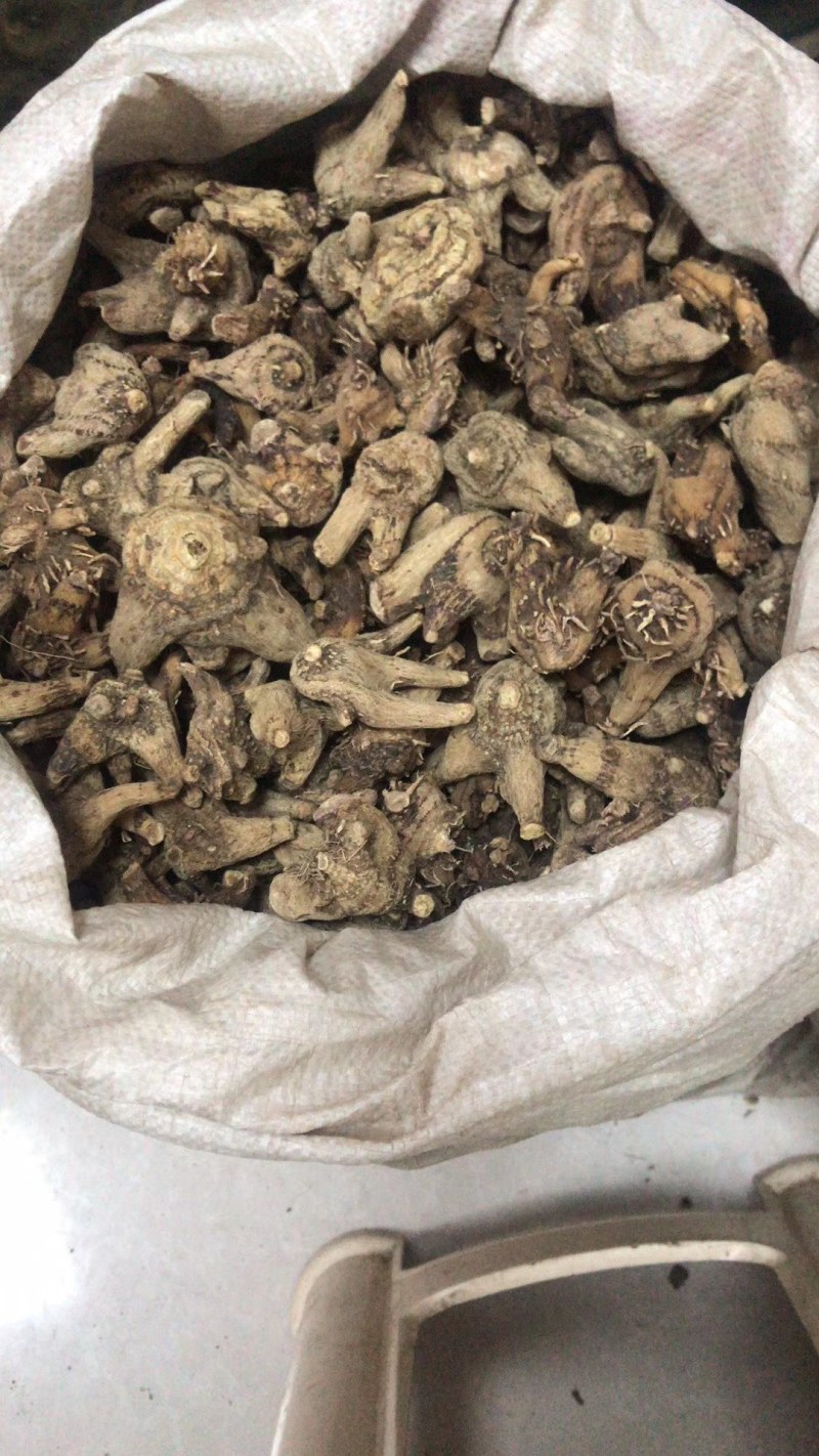 白芨，紫花三叉白芨。基地直供，对接全国需要老板尽管来电，