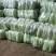 山东北京三号白菜北京新三号大白菜4-6斤净菜供应超市，