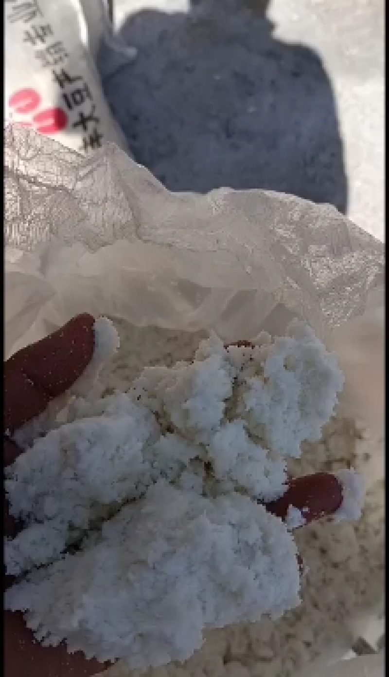 黄豆渣分离机脱水豆渣