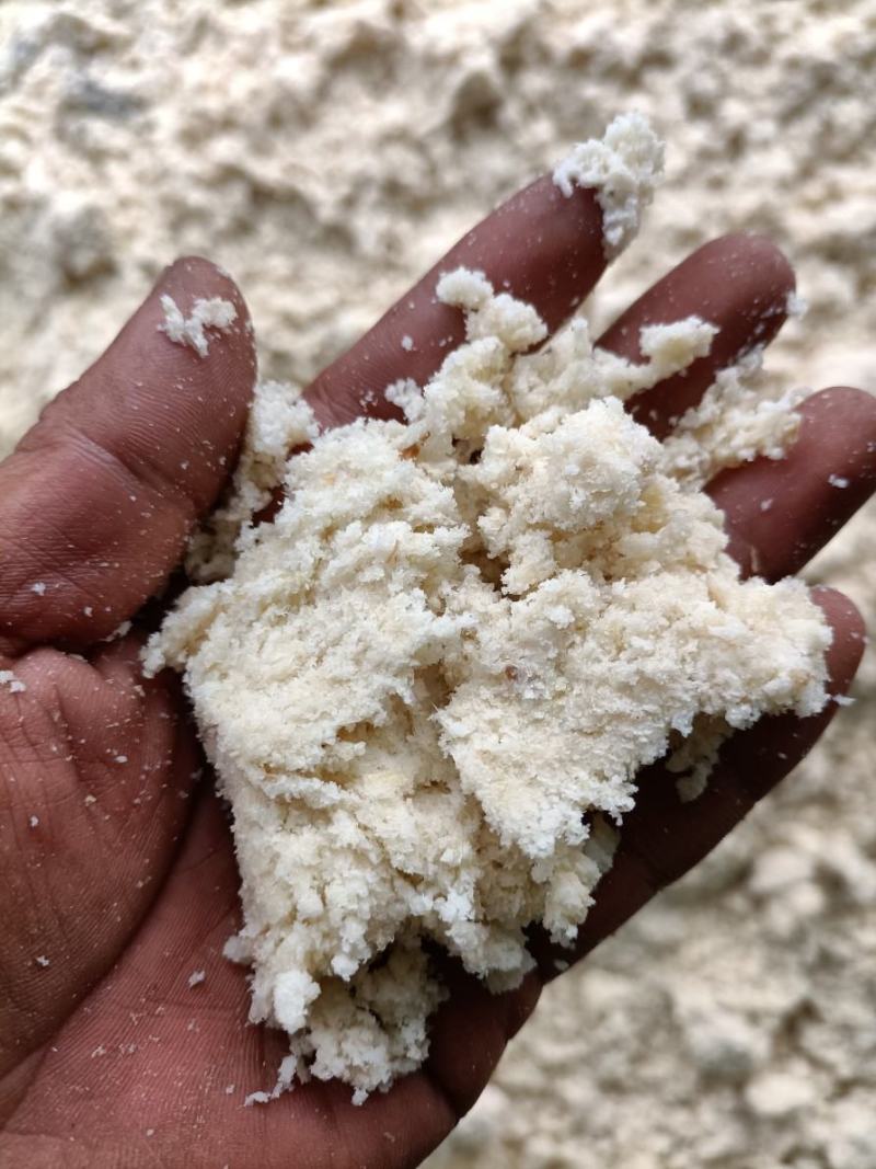 黄豆渣分离机脱水豆渣