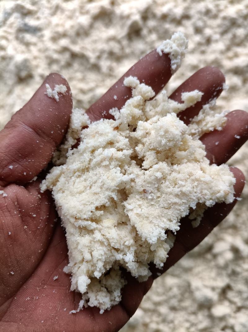 黄豆渣分离机脱水豆渣