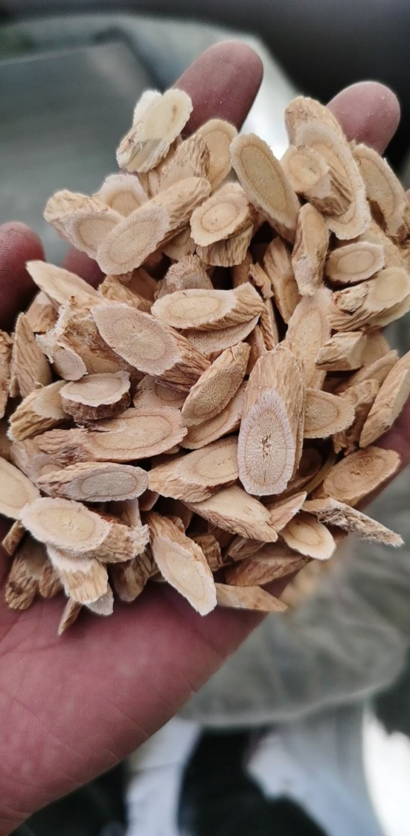 【大货供应】黄芪黄芪片甘肃岷县优质黄芪无硫
