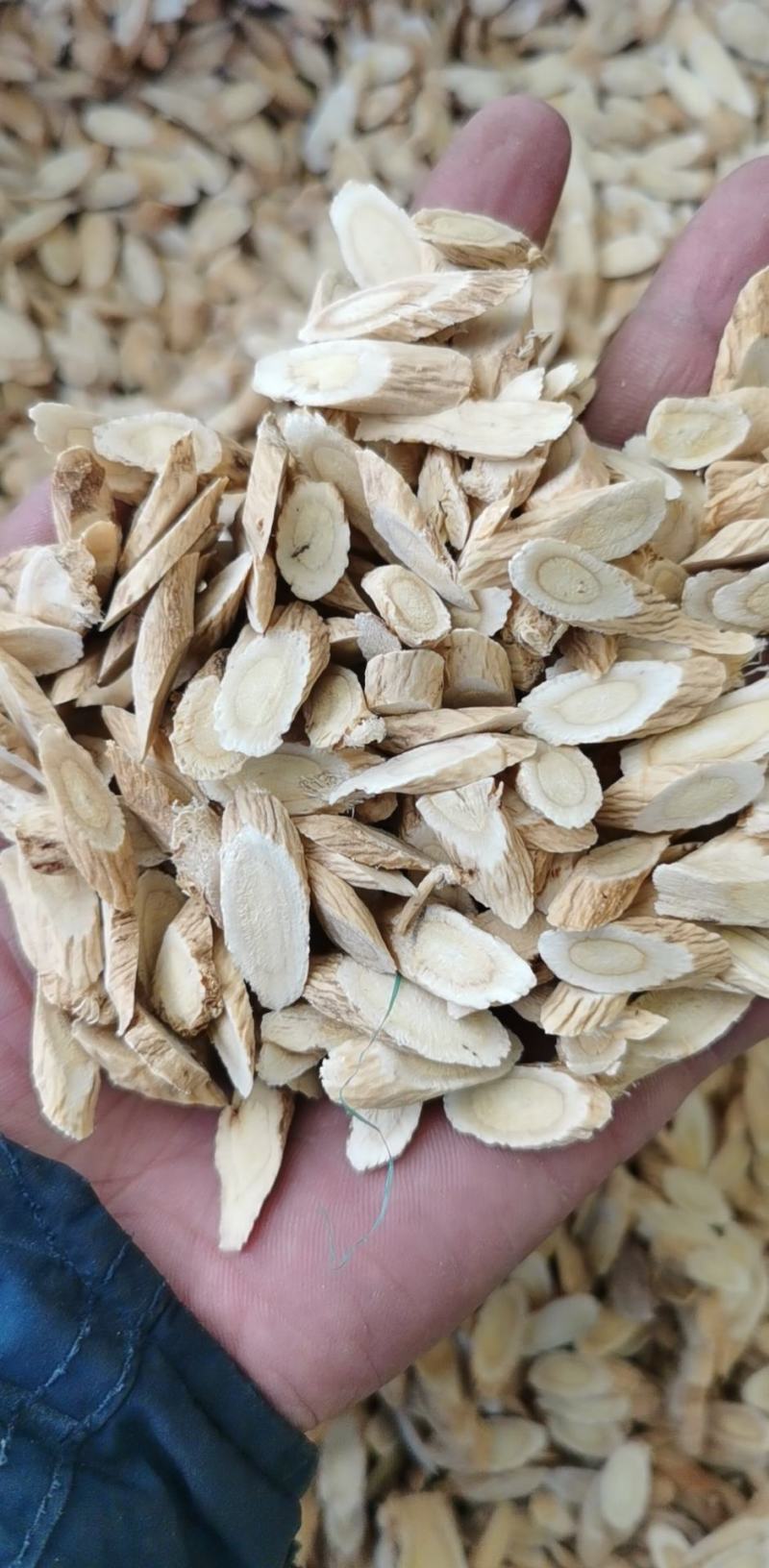 【大货供应】黄芪黄芪片甘肃岷县优质黄芪无硫