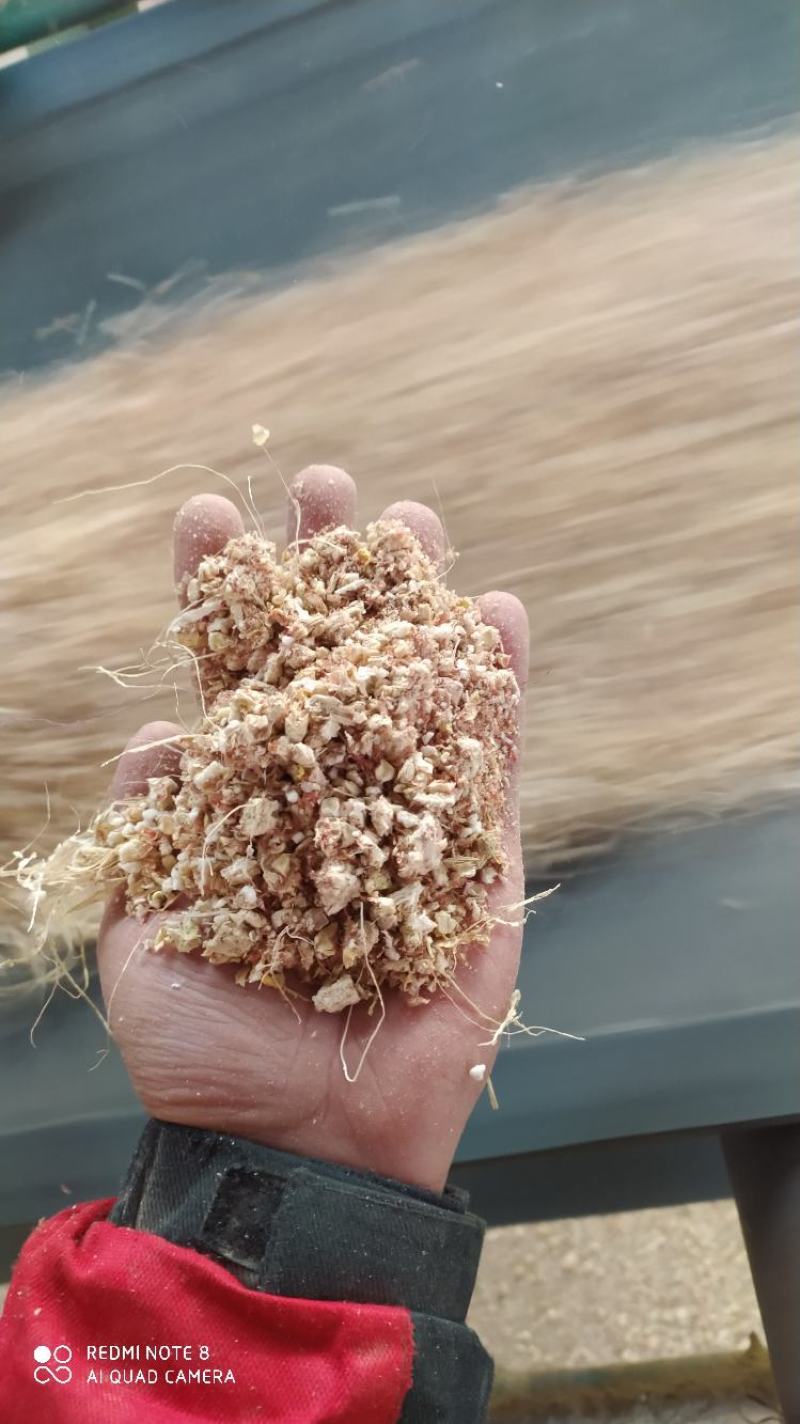 玉米芯大量出售，水分低，纯度高。颜色鲜亮。