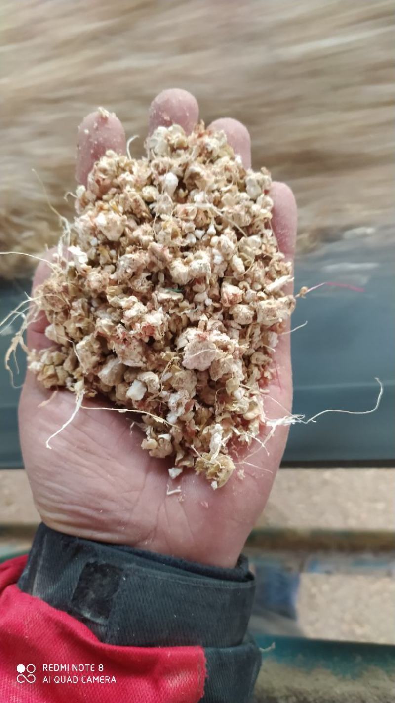 玉米芯大量出售，水分低，纯度高。颜色鲜亮。