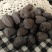 (农家直发)涉县无核黑枣！太行山特产！