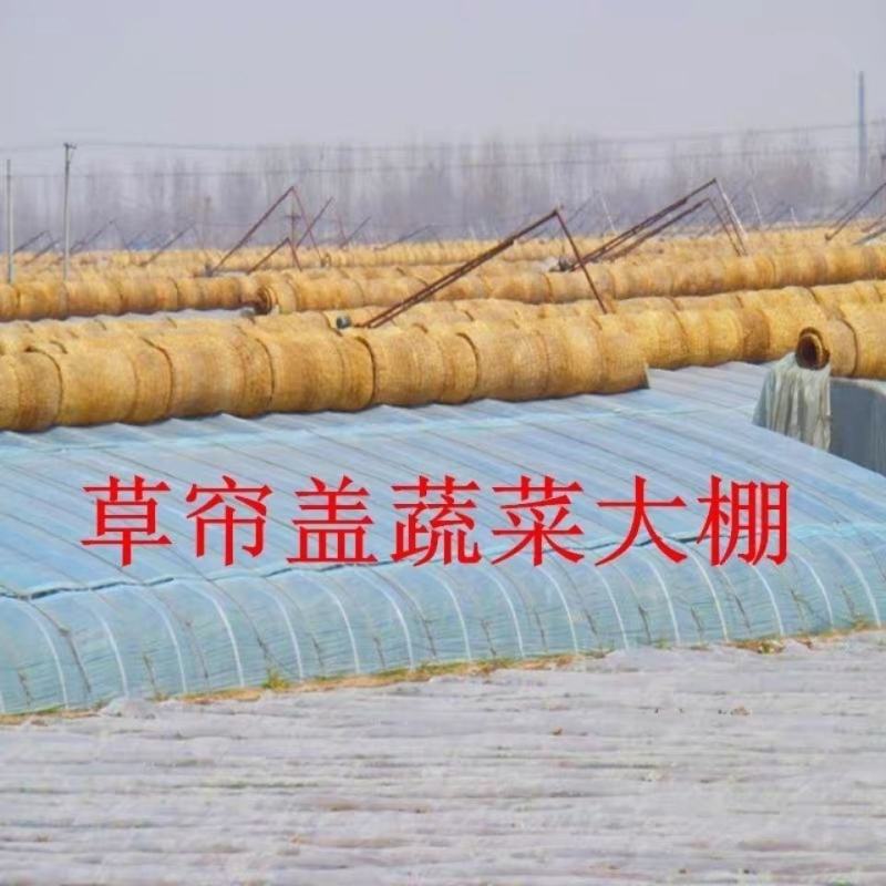 草帘子稻草帘大棚保温屋顶隔热防晒公路防滑保湿草垫子草毡干