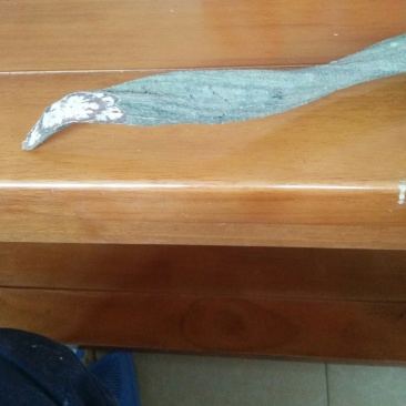 有大量的鲜黑血藤出售