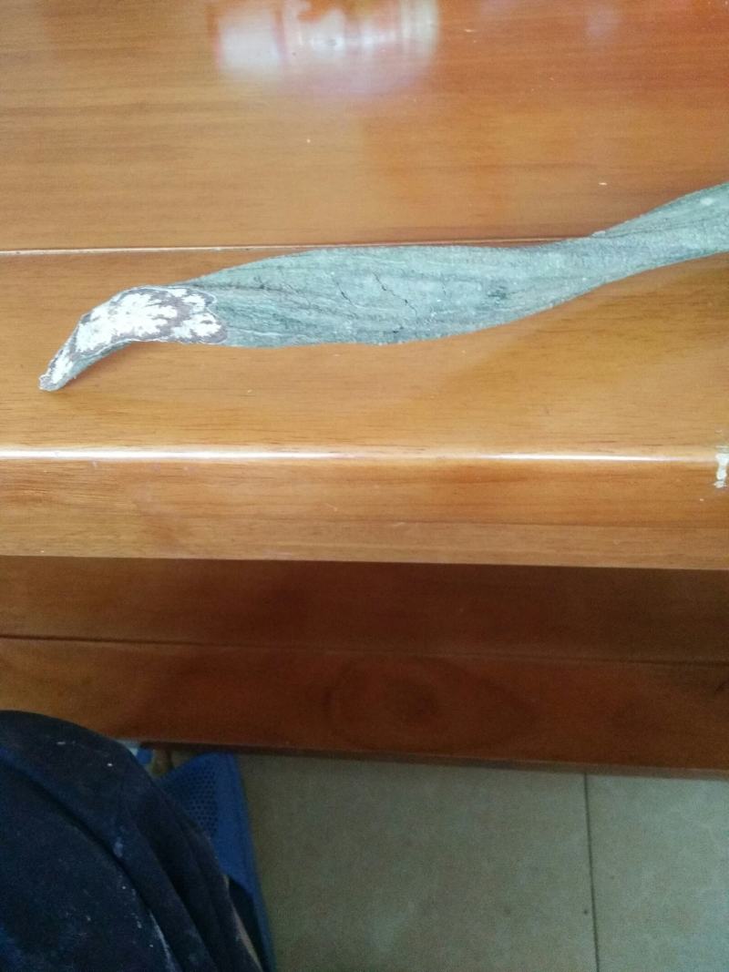 有大量的鲜黑血藤出售