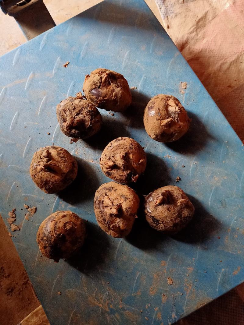 大量马蹄出售，需要时联系我
