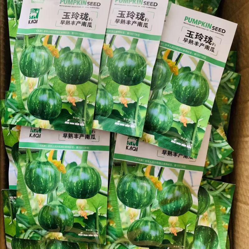 一串铃花蓝早熟嫩南瓜种子嫩早串铃南瓜优质菜南瓜种籽圆形