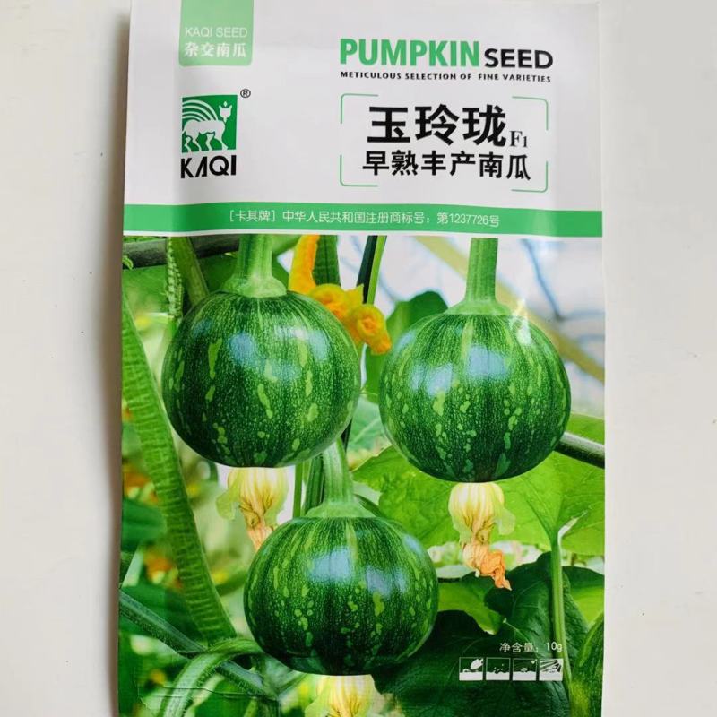 一串铃花蓝早熟嫩南瓜种子嫩早串铃南瓜优质菜南瓜种籽圆形