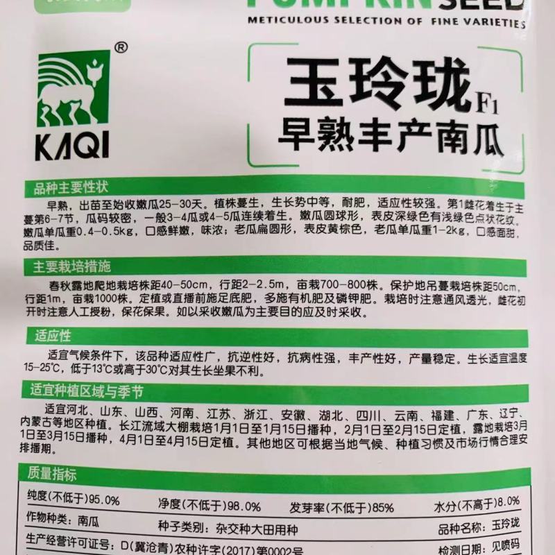 一串铃花蓝早熟嫩南瓜种子嫩早串铃南瓜优质菜南瓜种籽圆形