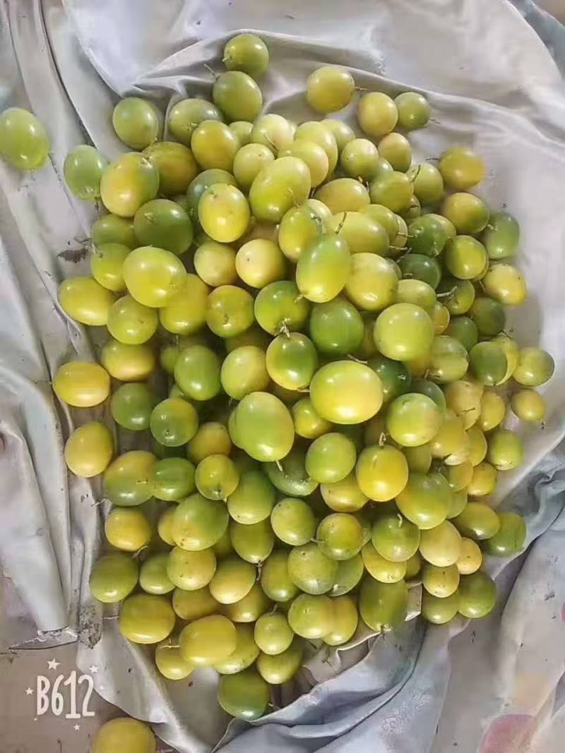 广西百香果热带水果新鲜西番莲鸡蛋果现摘5斤精选大红果酸爽