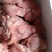 猪头肉精品瘦头无毛干货无冰，，，，，，，，，