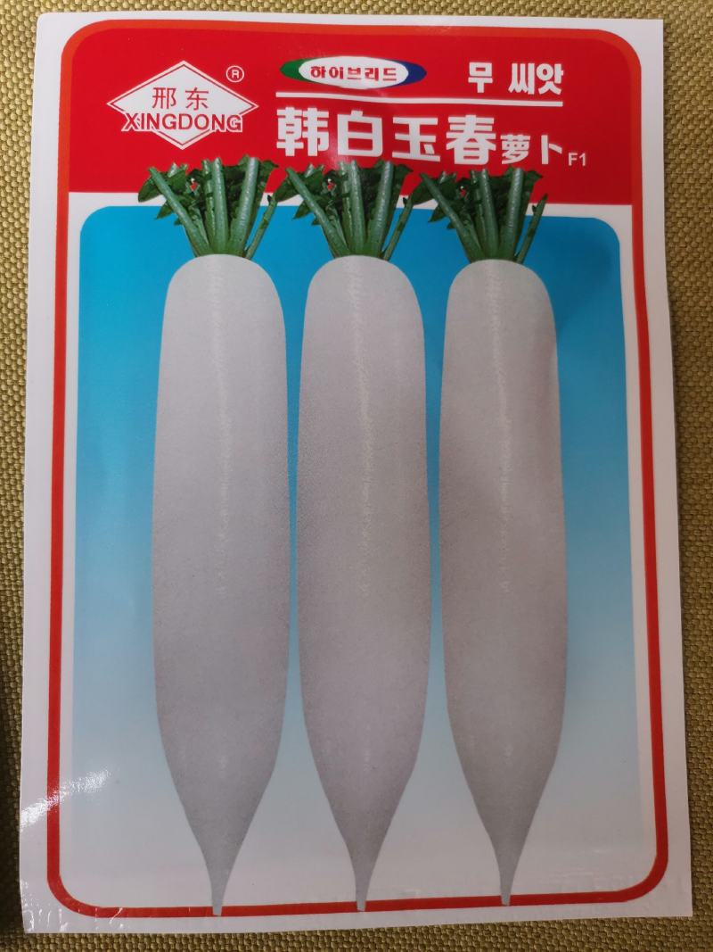 杂交一代水果萝卜种子口感清爽脆甜个头均匀整齐度高品质好