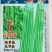 上市快农望极早熟豇豆种子早优10000嫩绿色长豆角种子