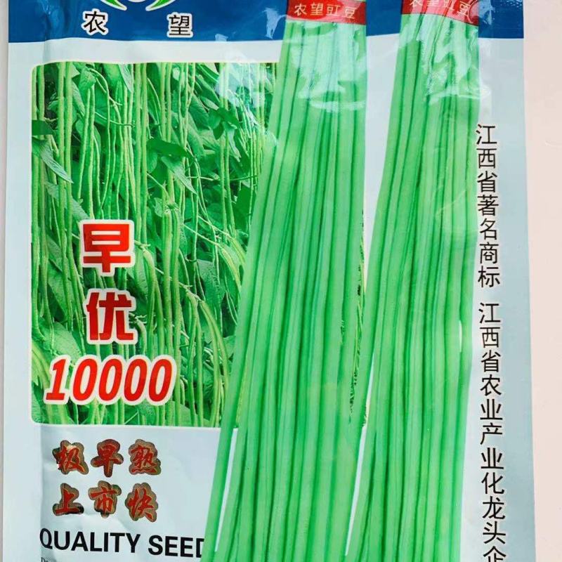上市快农望极早熟豇豆种子早优10000嫩绿色长豆角种子