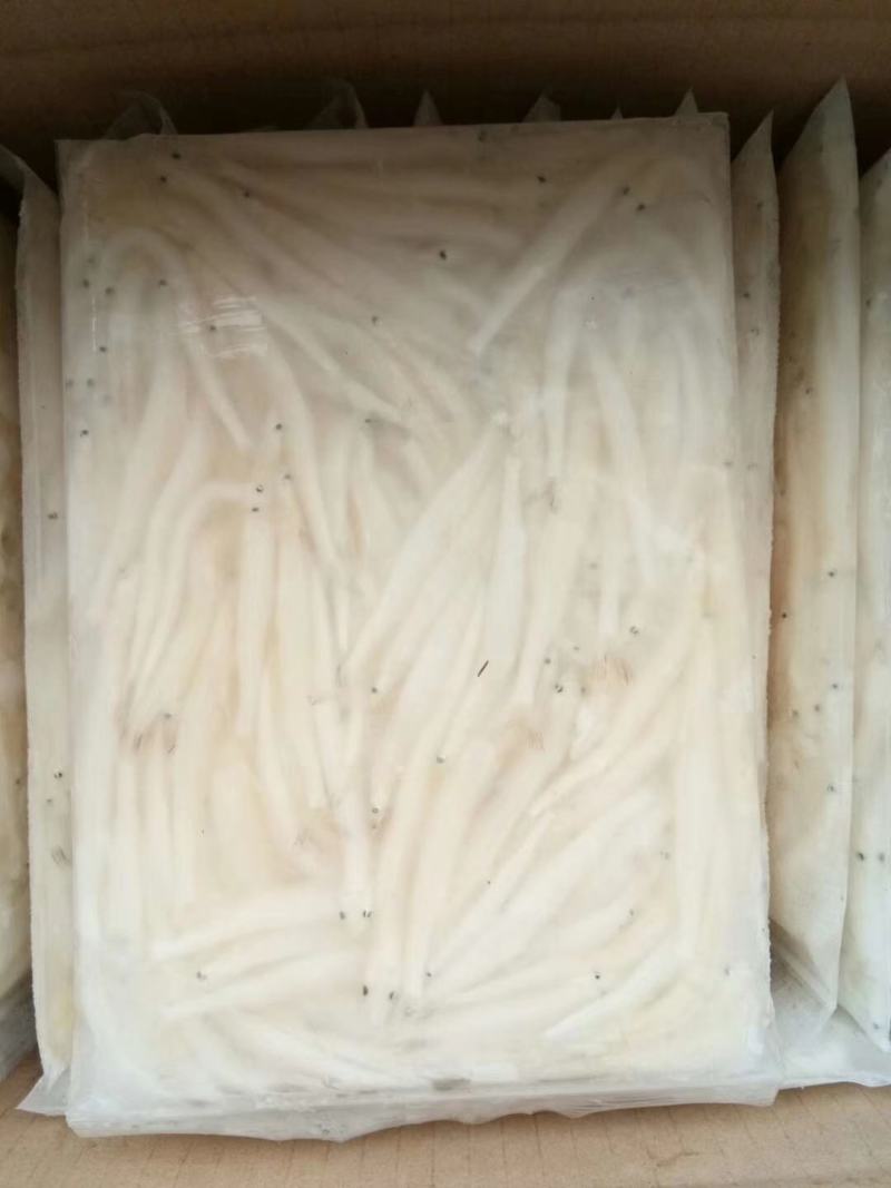 银鱼干银鱼干银鱼干银鱼
