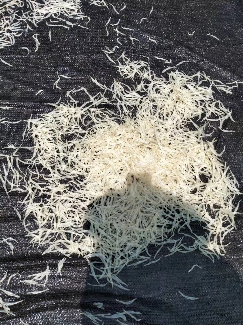 银鱼干银鱼干银鱼干银鱼