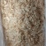 大量低价位无盐虾皮供应中市场走量电商拼多多