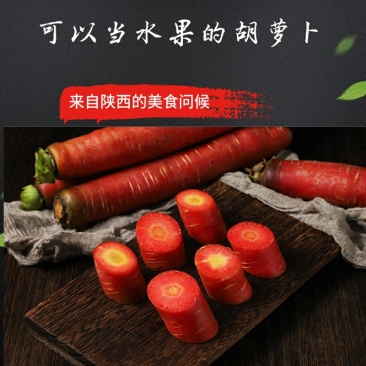 沙地红萝卜一件代发水果萝卜新鲜现挖现发支持电商微商量大从