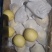 深州水果基地：益诚果品皇冠梨纸袋250~300g