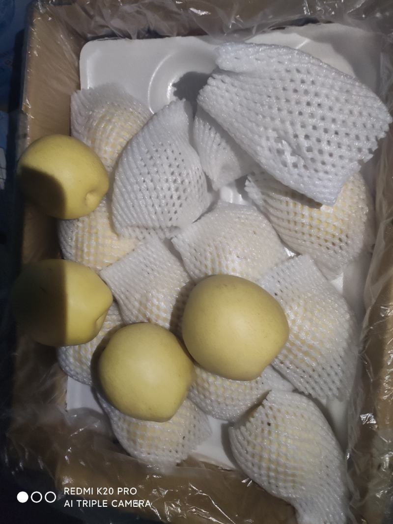 深州水果基地：益诚果品皇冠梨纸袋250~300g