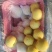 深州水果基地：益诚果品皇冠梨纸袋250~300g