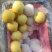 深州水果基地：益诚果品皇冠梨纸袋250~300g