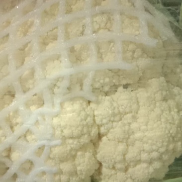 白面青梗有机花菜开始出库了