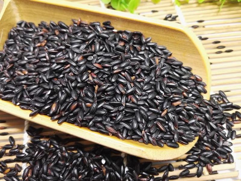 【现磨黑米面新货】农家现磨黑米面杂粮粉纯黑米面粉包邮