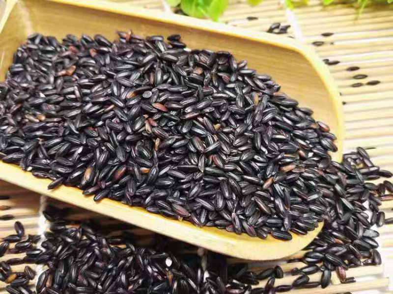 【现磨纯黑米面粉新货】农家现磨黑米面粉杂粮粉新货包邮