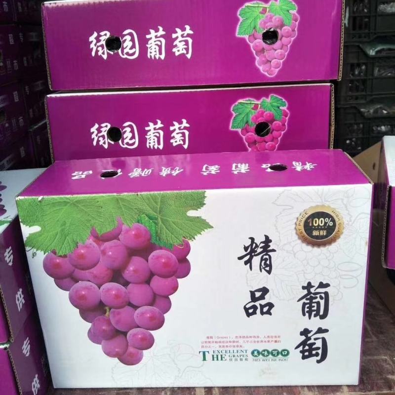 河北巨峰礼盒葡萄5斤装。对接电商。一手货源