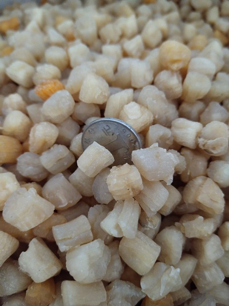 干贝瑶柱清甜干贝煮粥煲汤